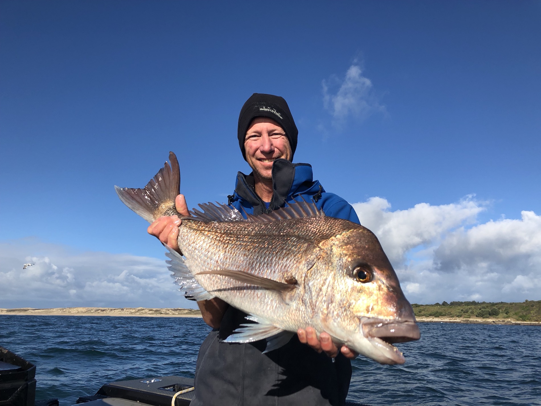 Fish out of water