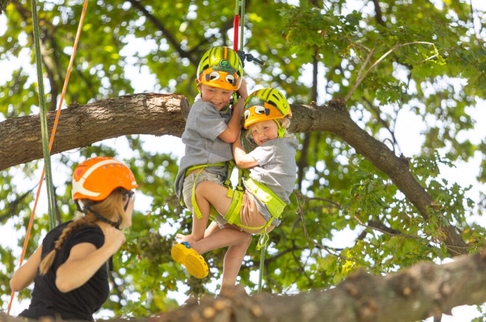 Children climbing a tree