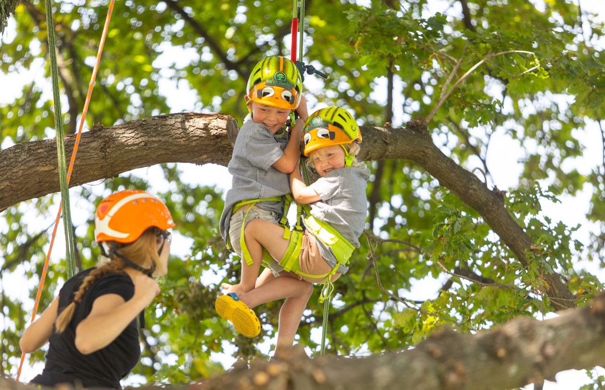 Children climbing a tree