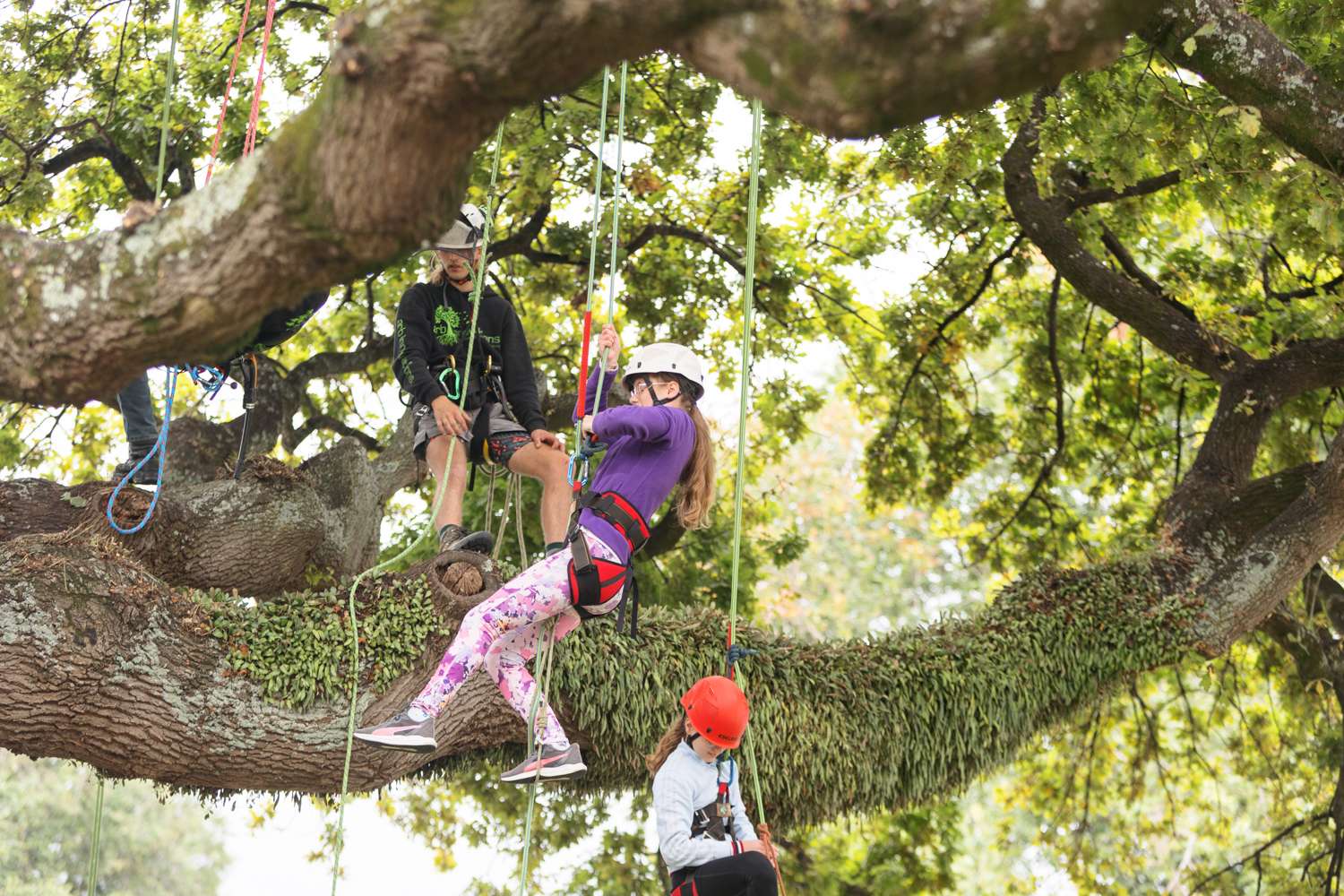 Kids in tree